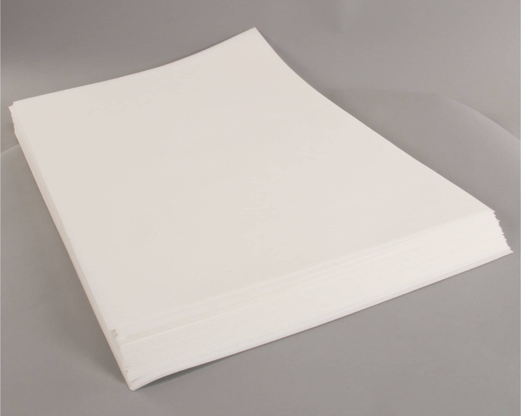 FILTRO DE PAPEL FRYMASTER. 19.5"X 27.5". 100 UNIDADES # FM8030170-FRY